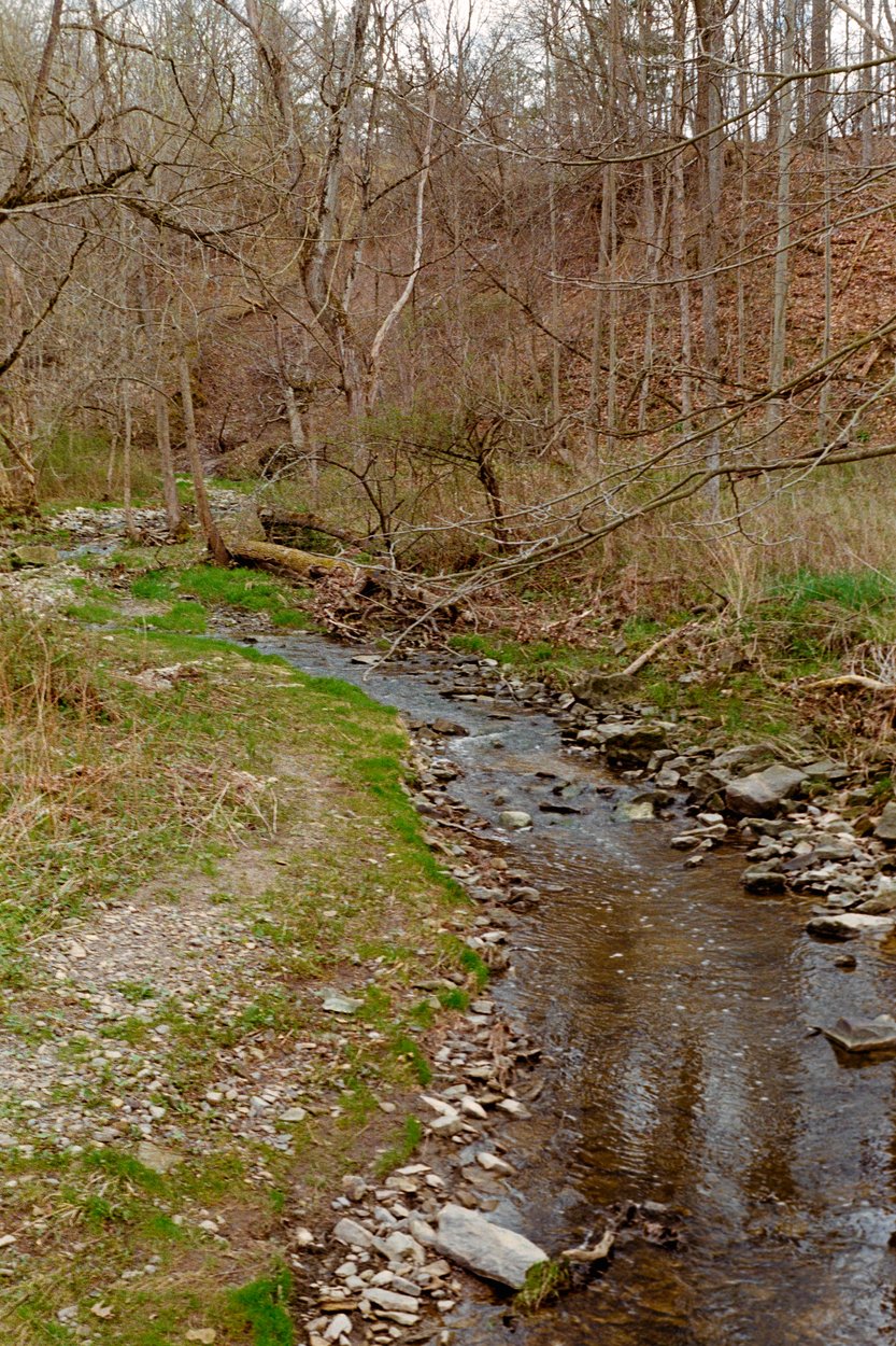 A small, gently flowing stream winds through a wooded valley in early spring. Bare, leafless trees with thin trunks line both banks, while patches of fresh green grass emerge along the banks and forest floor. The streambed is scattered with rocks and stones, and a fallen log lies across the area. The scene is set on a slightly sloped hillside, with branches reaching into the frame, conveying a quiet, natural woodland atmosphere.